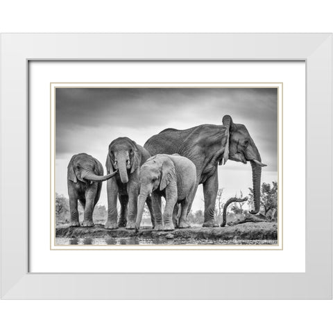 A Giant Unity White Modern Wood Framed Art Print with Double Matting by Marx, Jaco
