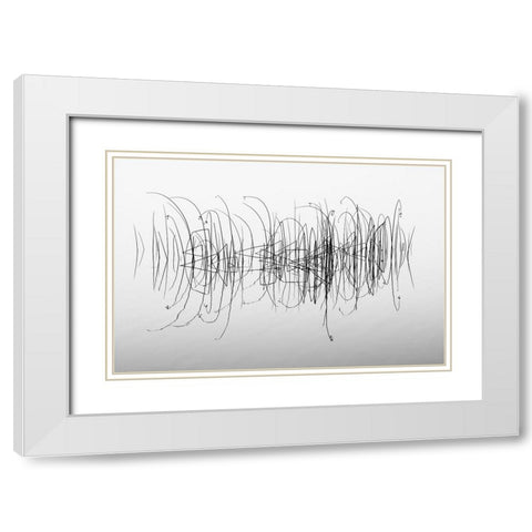 Graphic White Modern Wood Framed Art Print with Double Matting by Pettersson, Benny
