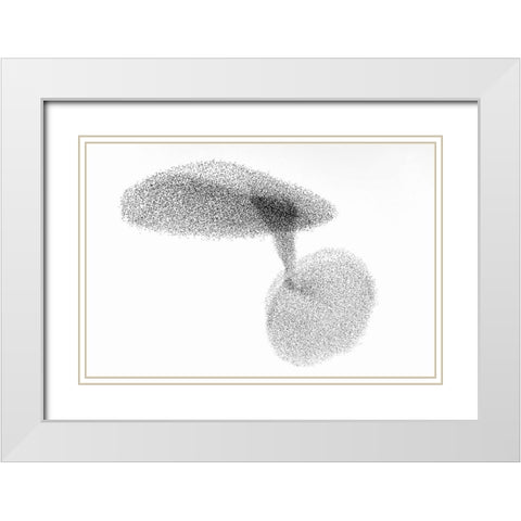 Starlings Dance White Modern Wood Framed Art Print with Double Matting by Gil Raga, Joan