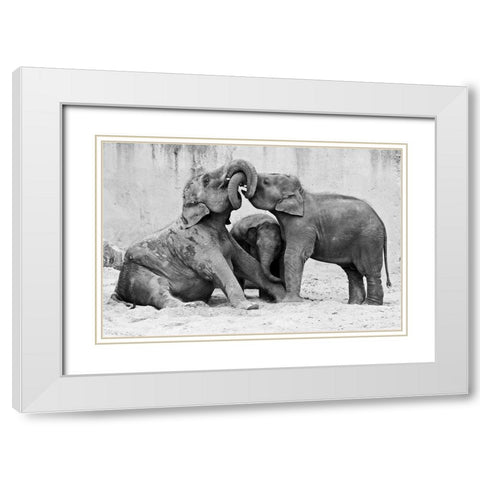Ma?Nage A? Trois White Modern Wood Framed Art Print with Double Matting by Wenner-Braun, Antje