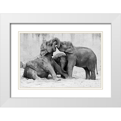 Ma?Nage A? Trois White Modern Wood Framed Art Print with Double Matting by Wenner-Braun, Antje