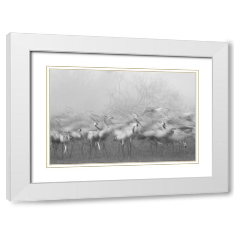 Agamon Hula White Modern Wood Framed Art Print with Double Matting by Eichelberg, Amnon