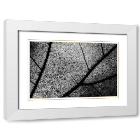 Streets White Modern Wood Framed Art Print with Double Matting by Chiarello, Matteo