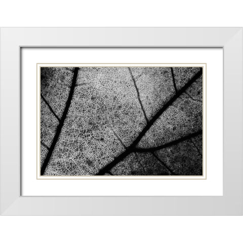 Streets White Modern Wood Framed Art Print with Double Matting by Chiarello, Matteo