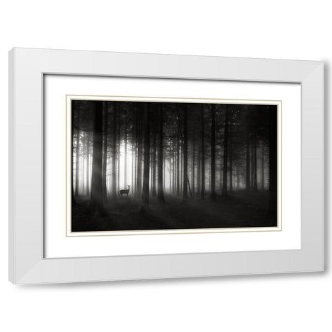 Deer`S Morning White Modern Wood Framed Art Print with Double Matting by Hessel, Christoph