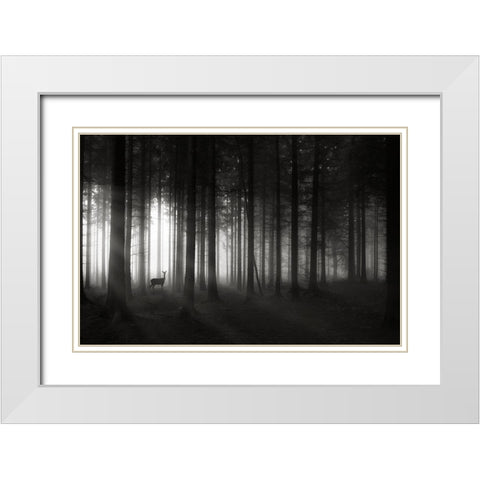 Deer`S Morning White Modern Wood Framed Art Print with Double Matting by Hessel, Christoph