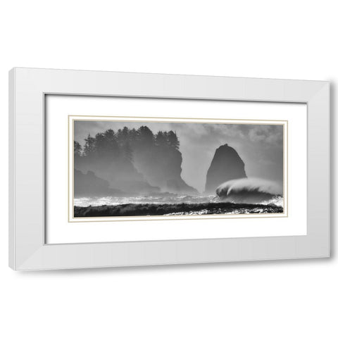 F U R Y White Modern Wood Framed Art Print with Double Matting by Turgeon, Alain