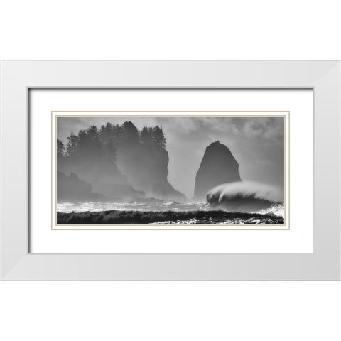 F U R Y White Modern Wood Framed Art Print with Double Matting by Turgeon, Alain