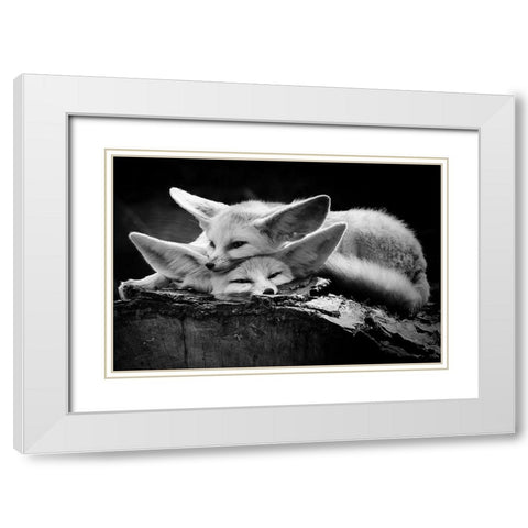 The Happy Couple White Modern Wood Framed Art Print with Double Matting by Ross Rossi, Ib