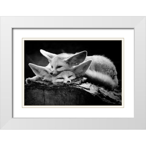The Happy Couple White Modern Wood Framed Art Print with Double Matting by Ross Rossi, Ib