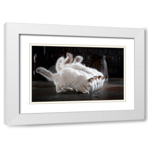 Let There Be Milk White Modern Wood Framed Art Print with Double Matting by Lehto, Timo