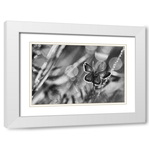 ...After The Rain... White Modern Wood Framed Art Print with Double Matting by Gerec, Pali