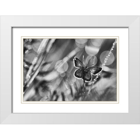 ...After The Rain... White Modern Wood Framed Art Print with Double Matting by Gerec, Pali
