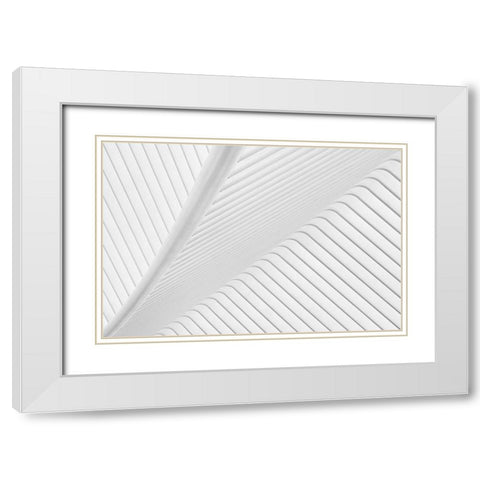 Canopy. White Modern Wood Framed Art Print with Double Matting by Van Son, Greetje