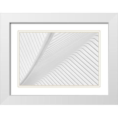 Canopy. White Modern Wood Framed Art Print with Double Matting by Van Son, Greetje