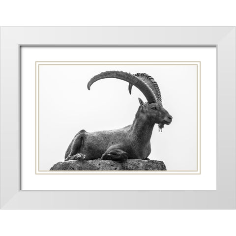 Resting White Modern Wood Framed Art Print with Double Matting by Graf, Sebastian