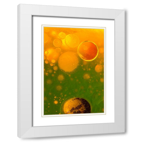 Spring Fantasy White Modern Wood Framed Art Print with Double Matting by Bosogea-Tudor, Ileana