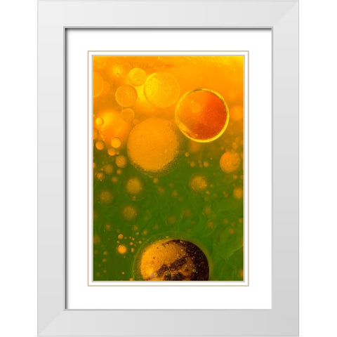 Spring Fantasy White Modern Wood Framed Art Print with Double Matting by Bosogea-Tudor, Ileana