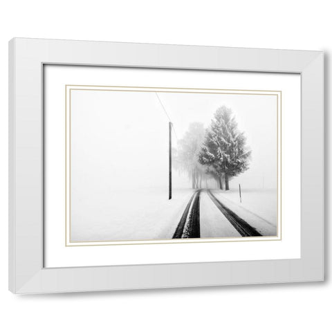 White Tree Gate White Modern Wood Framed Art Print with Double Matting by Bogner, Franz