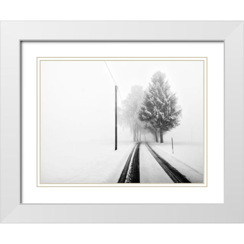 White Tree Gate White Modern Wood Framed Art Print with Double Matting by Bogner, Franz