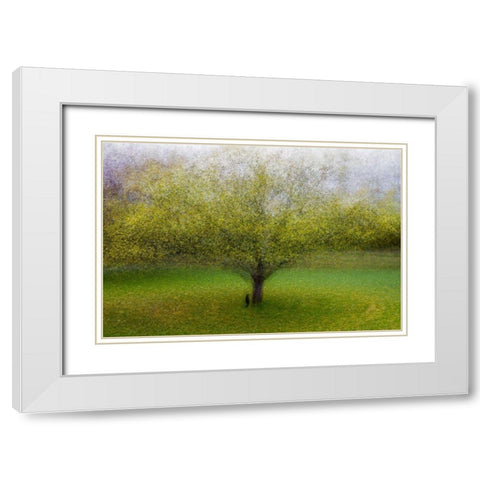 The Cat By The Tree White Modern Wood Framed Art Print with Double Matting by Ostlund, Arne