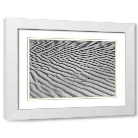 The Long Journey White Modern Wood Framed Art Print with Double Matting by Skilbeck, Christian