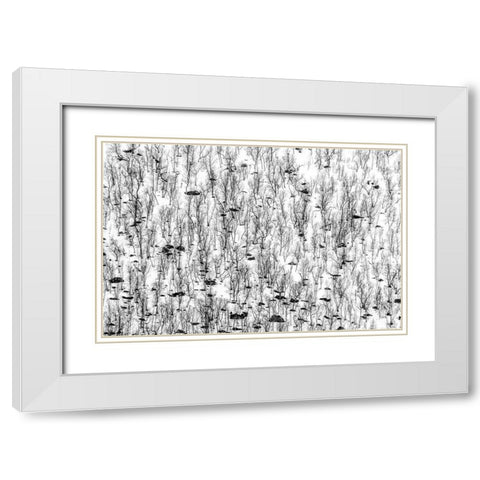 Little Trees White Modern Wood Framed Art Print with Double Matting by Ghesquiere, Hilde