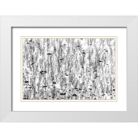 Little Trees White Modern Wood Framed Art Print with Double Matting by Ghesquiere, Hilde