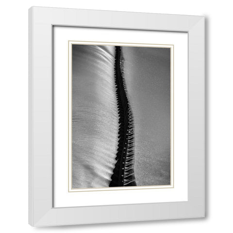 Scorpio Rising White Modern Wood Framed Art Print with Double Matting by Abrantes, Paulo