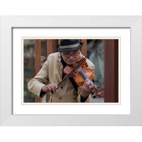 Old Violin White Modern Wood Framed Art Print with Double Matting by Coanda, Carla
