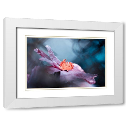 Even Flowers Have Stories To Tell White Modern Wood Framed Art Print with Double Matting by BRAVIN, Fabien