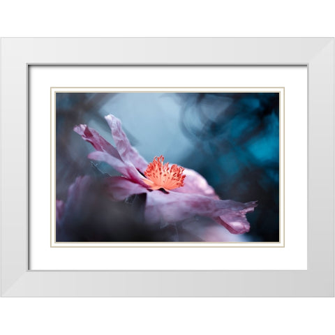 Even Flowers Have Stories To Tell White Modern Wood Framed Art Print with Double Matting by BRAVIN, Fabien