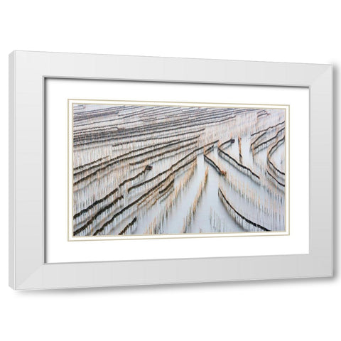 Harvesting Kelp White Modern Wood Framed Art Print with Double Matting by Zhou, Xinhua