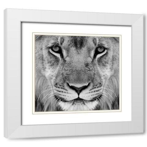 My-What Big Thighs You Have ! White Modern Wood Framed Art Print with Double Matting by Pearson, Wayne