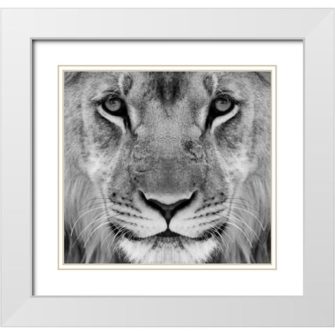 My-What Big Thighs You Have ! White Modern Wood Framed Art Print with Double Matting by Pearson, Wayne