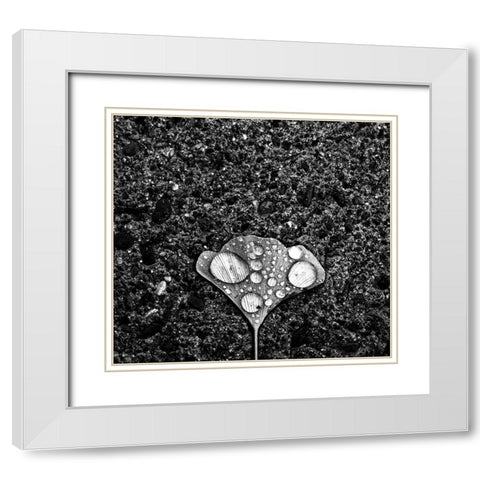 Dew White Modern Wood Framed Art Print with Double Matting by Wang, Jian