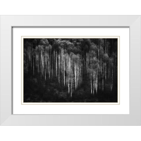 Untitled White Modern Wood Framed Art Print with Double Matting by Chopra, Atul