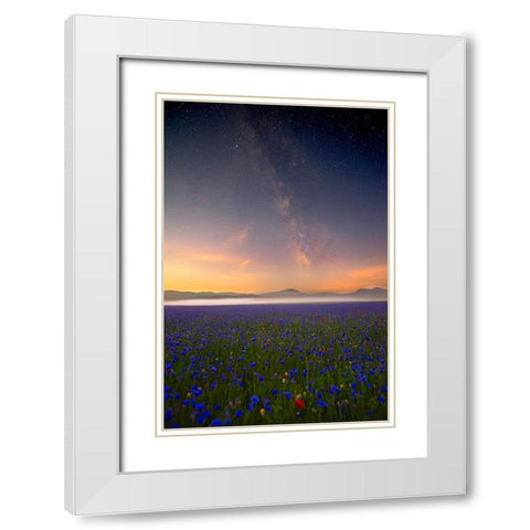 Night Flowers White Modern Wood Framed Art Print with Double Matting by Marchegiani, Roberto
