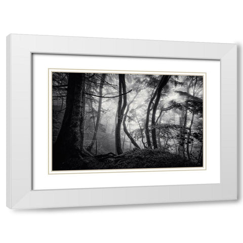 Mysterious Light White Modern Wood Framed Art Print with Double Matting by Maier, Norbert