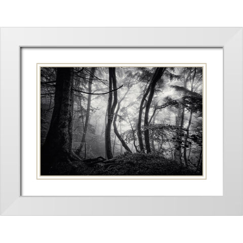 Mysterious Light White Modern Wood Framed Art Print with Double Matting by Maier, Norbert