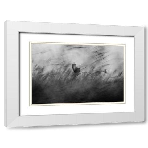 Out Of The Blue White Modern Wood Framed Art Print with Double Matting by Segev, Elior