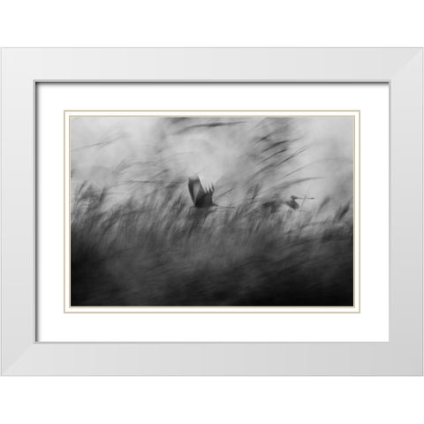 Out Of The Blue White Modern Wood Framed Art Print with Double Matting by Segev, Elior