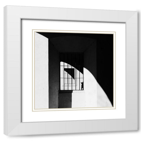 The Black Cat White Modern Wood Framed Art Print with Double Matting by Della Latta, Massimo