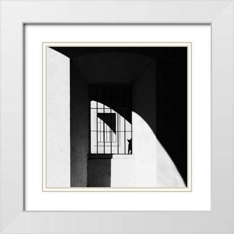 The Black Cat White Modern Wood Framed Art Print with Double Matting by Della Latta, Massimo