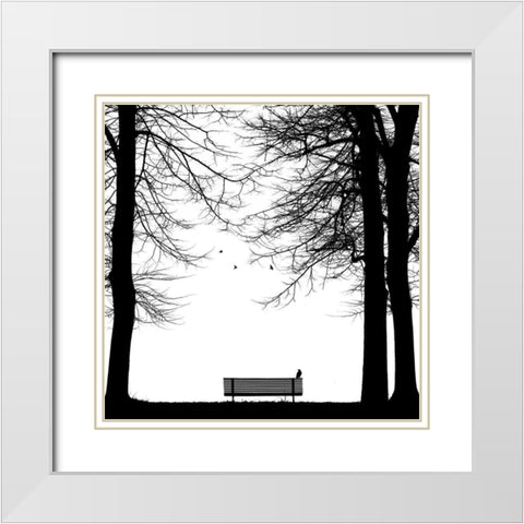 Il Corvo White Modern Wood Framed Art Print with Double Matting by Della Latta, Massimo