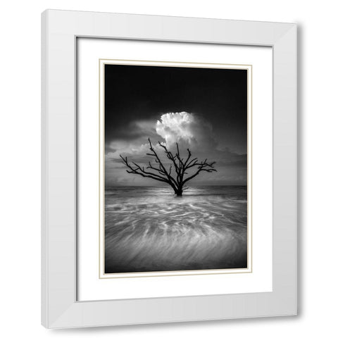 Oceanus White Modern Wood Framed Art Print with Double Matting by Moore, Chris