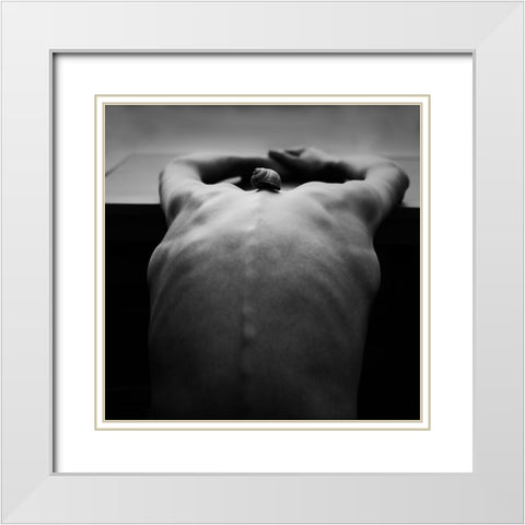 Cochlea White Modern Wood Framed Art Print with Double Matting by Delrue, Mirjam