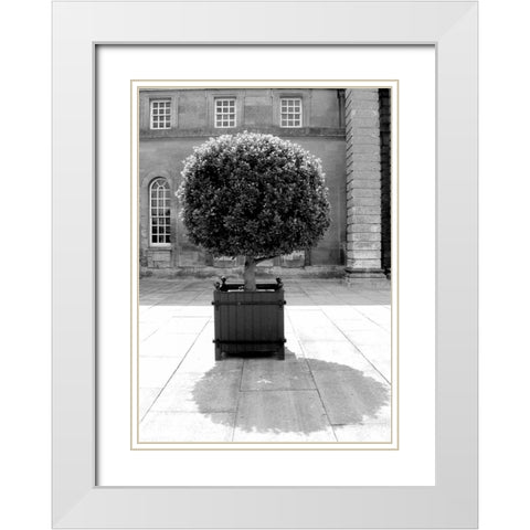 Architectural Detail, Blenheim Palace White Modern Wood Framed Art Print with Double Matting by Blue, Cyril