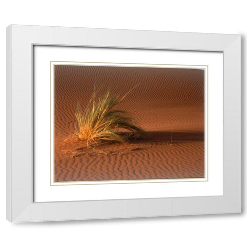Grass, Sand Dune Sahara White Modern Wood Framed Art Print with Double Matting by Blue, Cyril