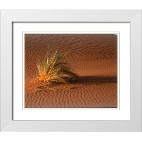 Grass, Sand Dune Sahara White Modern Wood Framed Art Print with Double Matting by Blue, Cyril
